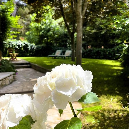 Apartment Balthazar Ρόβινι Εξωτερικό φωτογραφία