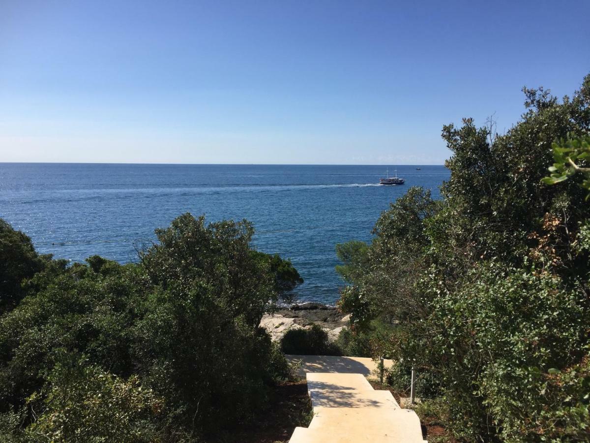 Apartment Balthazar Ρόβινι Εξωτερικό φωτογραφία